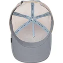 curva-snapback-the-farm-goorin-bros
