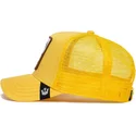 curva-snapback-the-farm-goorin-bros