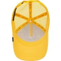 curva-snapback-the-farm-goorin-bros