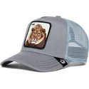 curva-snapback-the-farm-goorin-bros