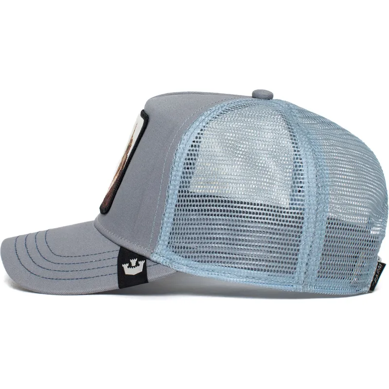 curva-snapback-the-farm-goorin-bros