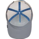 curva-snapback-the-farm-goorin-bros