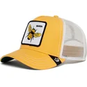 curva-snapback-the-farm-goorin-bros