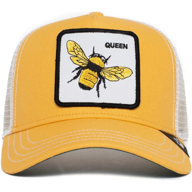 curva-snapback-the-farm-goorin-bros
