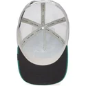 curva-snapback-the-farm-goorin-bros