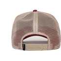 curva-snapback-the-farm-goorin-bros