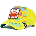 curva-snapback-the-farm-goorin-bros