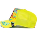 curva-snapback-the-farm-goorin-bros