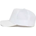 curva-snapback-the-farm-goorin-bros