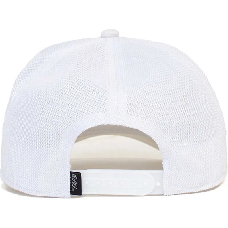 curva-snapback-the-farm-goorin-bros
