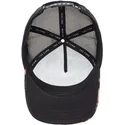 curva-snapback-the-farm-goorin-bros