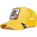 curva-snapback-the-farm-goorin-bros