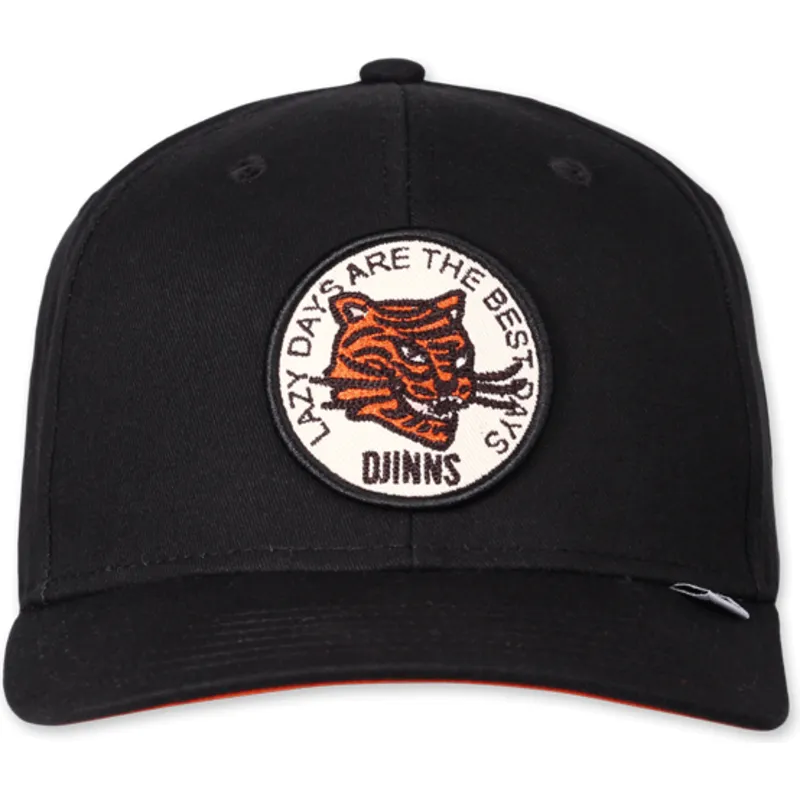 curva-djinns
