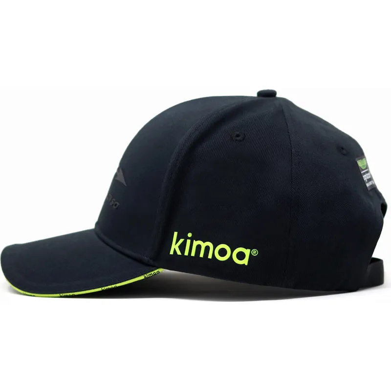 curva-fernando-alonso-aston-martin-formula-1-kimoa