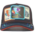 curva-snapback-the-farm-goorin-bros