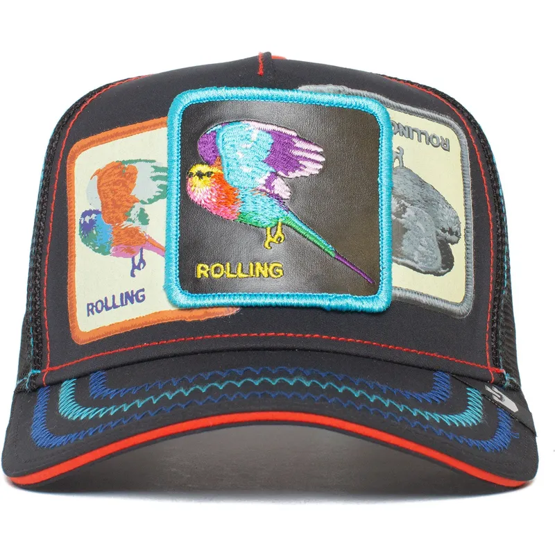 curva-snapback-the-farm-goorin-bros