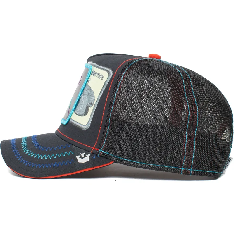 curva-snapback-the-farm-goorin-bros