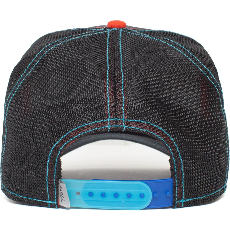 curva-snapback-the-farm-goorin-bros