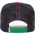 curva-snapback-the-farm-goorin-bros