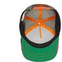 curva-snapback-the-farm-goorin-bros
