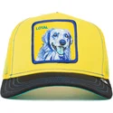 trucker-labrador-retriever-loyal-doggy-trip-the-farm-goorin-bros