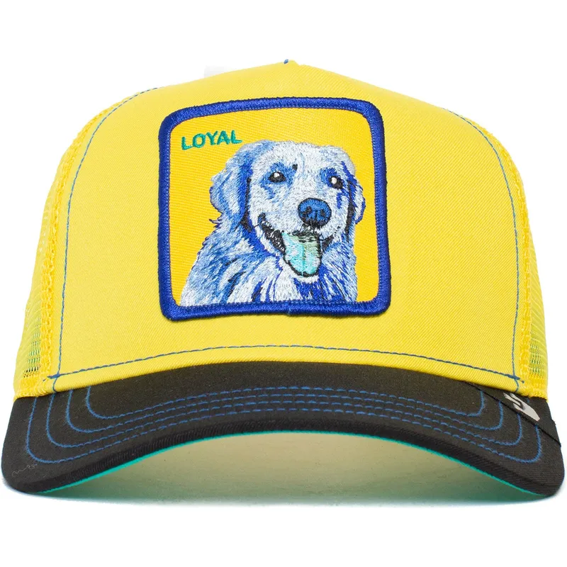 trucker-labrador-retriever-loyal-doggy-trip-the-farm-goorin-bros