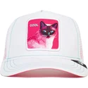 curva-snapback-the-farm-goorin-bros