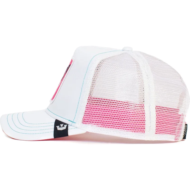 curva-snapback-the-farm-goorin-bros