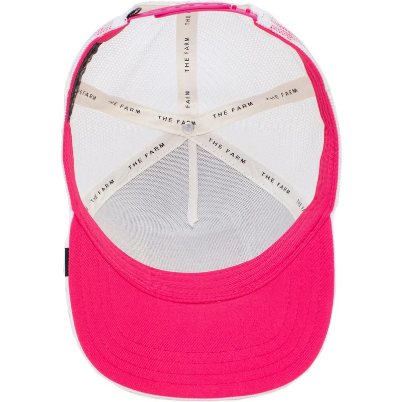 curva-snapback-the-farm-goorin-bros