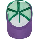 curva-snapback-the-farm-goorin-bros