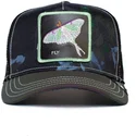 curva-snapback-the-farm-goorin-bros