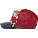 curva-snapback-the-farm-goorin-bros