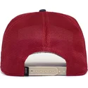 curva-snapback-the-farm-goorin-bros
