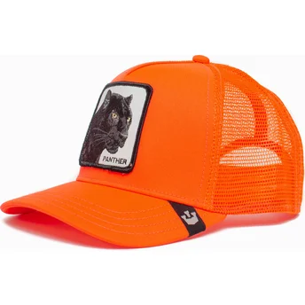 curva-snapback-the-farm-goorin-bros