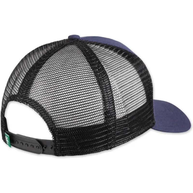curva-snapback-coastal