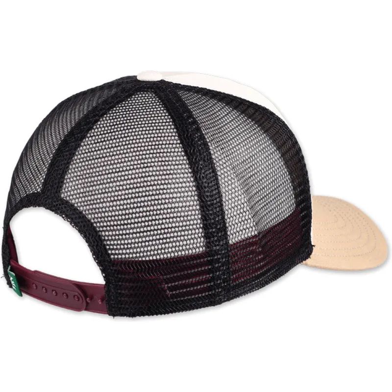 curva-snapback-coastal