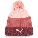 curva-puma