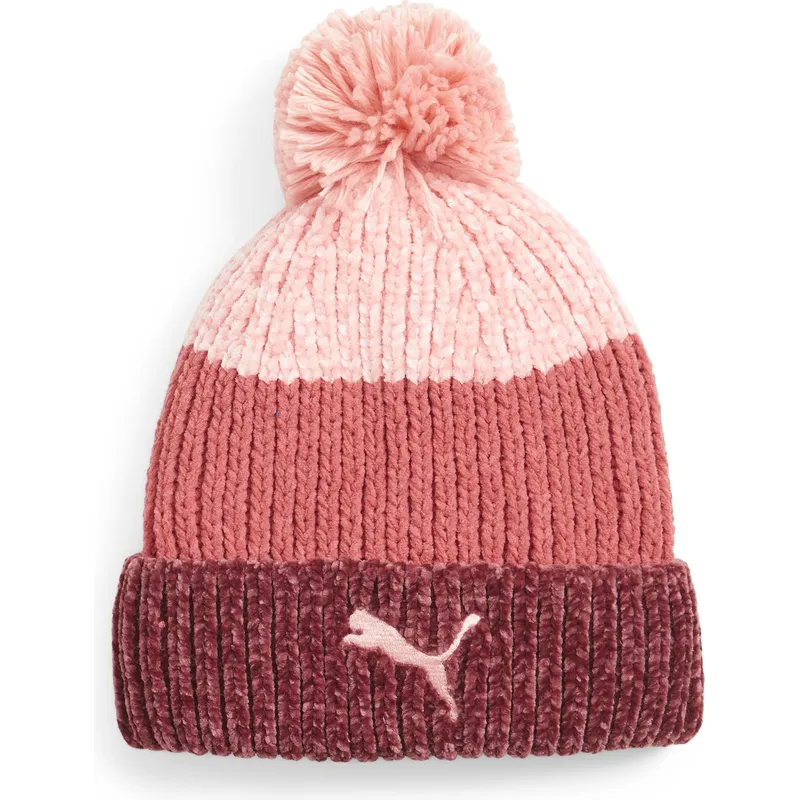 curva-puma