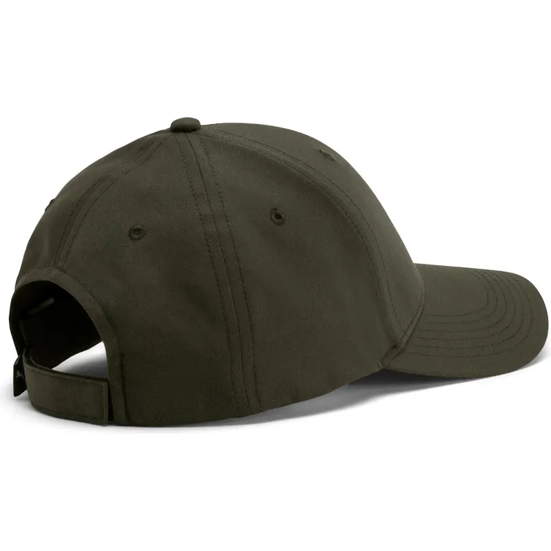 curva-puma curva-puma