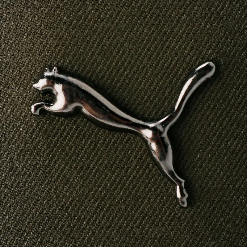 curva-puma curva-puma