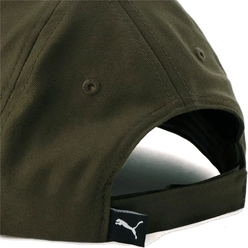 curva-puma curva-puma