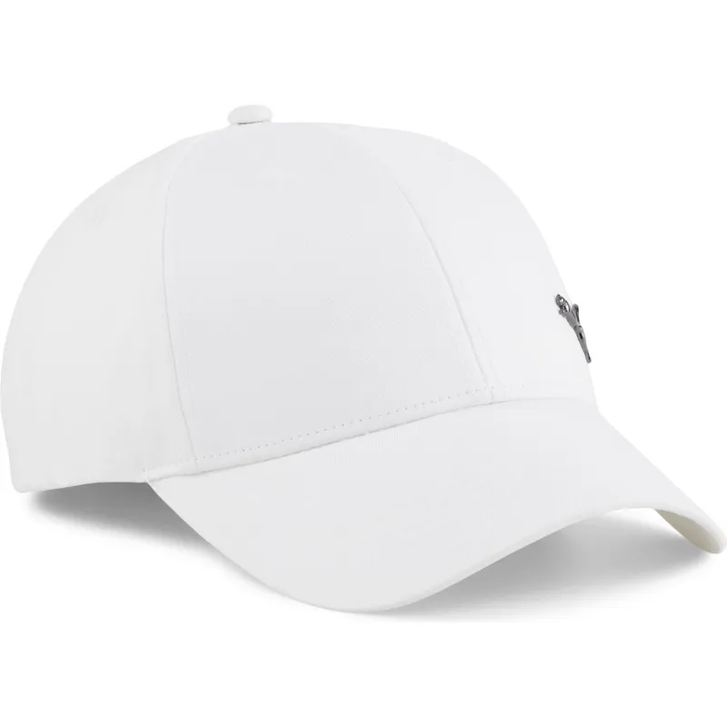 curva-puma curva-puma