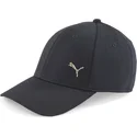 curva-puma