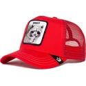 curva-snapback-the-farm-goorin-bros