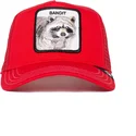curva-snapback-the-farm-goorin-bros