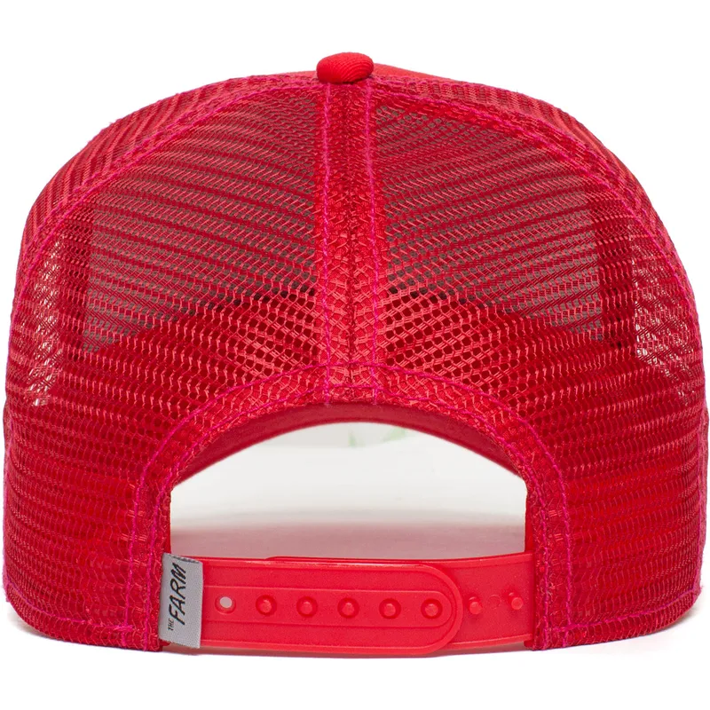 curva-snapback-the-farm-goorin-bros