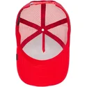 curva-snapback-the-farm-goorin-bros