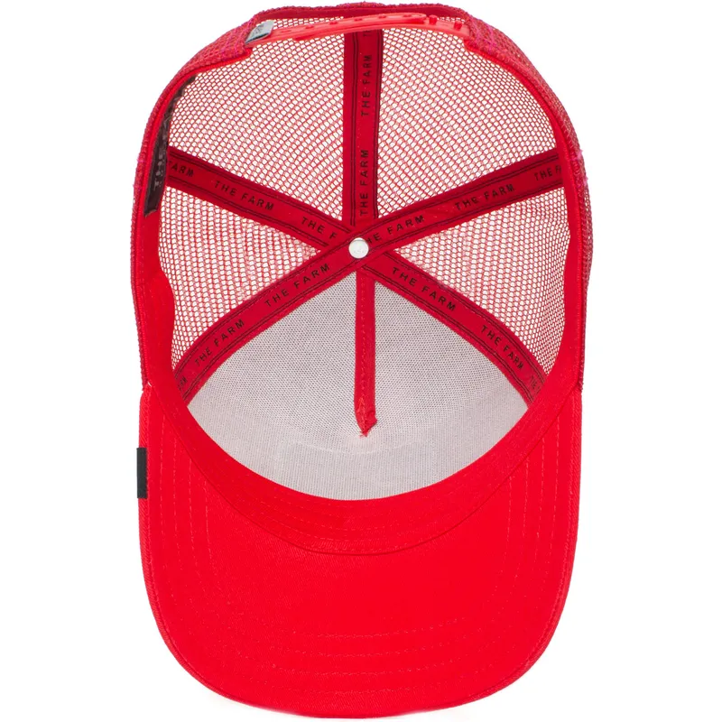 curva-snapback-the-farm-goorin-bros