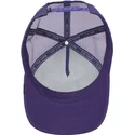 curva-snapback-the-farm-goorin-bros