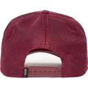 curva-snapback-the-farm-goorin-bros